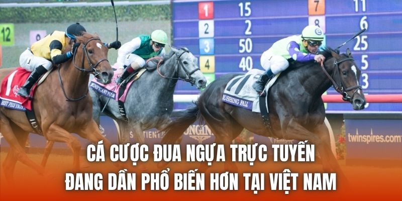 Cá cược đua ngựa trực tuyến đang dần phổ biến hơn tại Việt Nam
