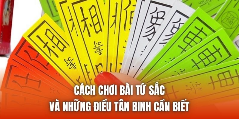 Cách Chơi Bài Tứ Sắc Và Những Điều Tân Binh Cần Biết
