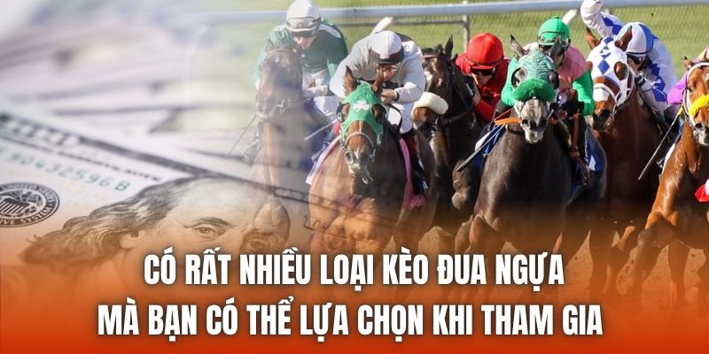 Có rất nhiều loại kèo đua ngựa mà bạn có thể lựa chọn khi tham gia 
