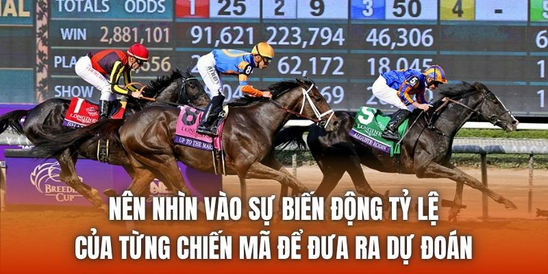 Nên nhìn vào sự biến động tỷ lệ của từng chiến mã để đưa ra dự đoán