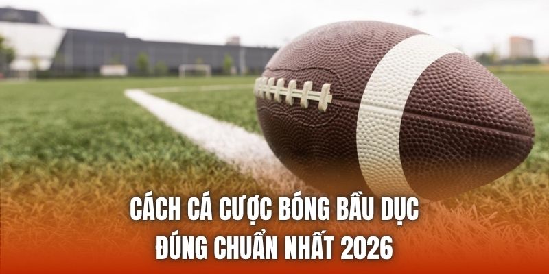 Cách Cá Cược Bóng Bầu Dục Đúng Chuẩn Nhất 2026