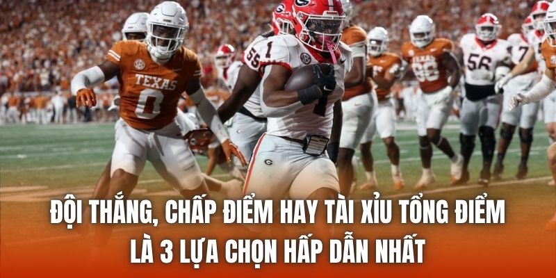 Đội thắng, chấp điểm hay tài xỉu tổng điểm là 3 lựa chọn hấp dẫn nhất