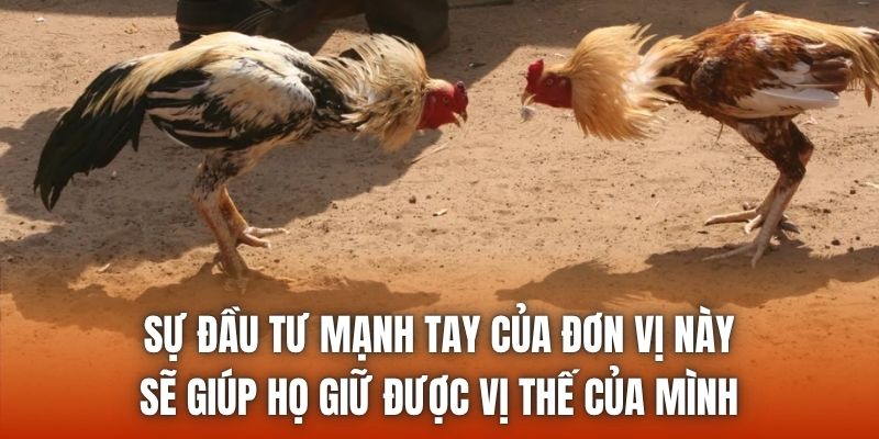 Sự đầu tư mạnh tay của đơn vị này sẽ giúp họ giữ được vị thế của mình